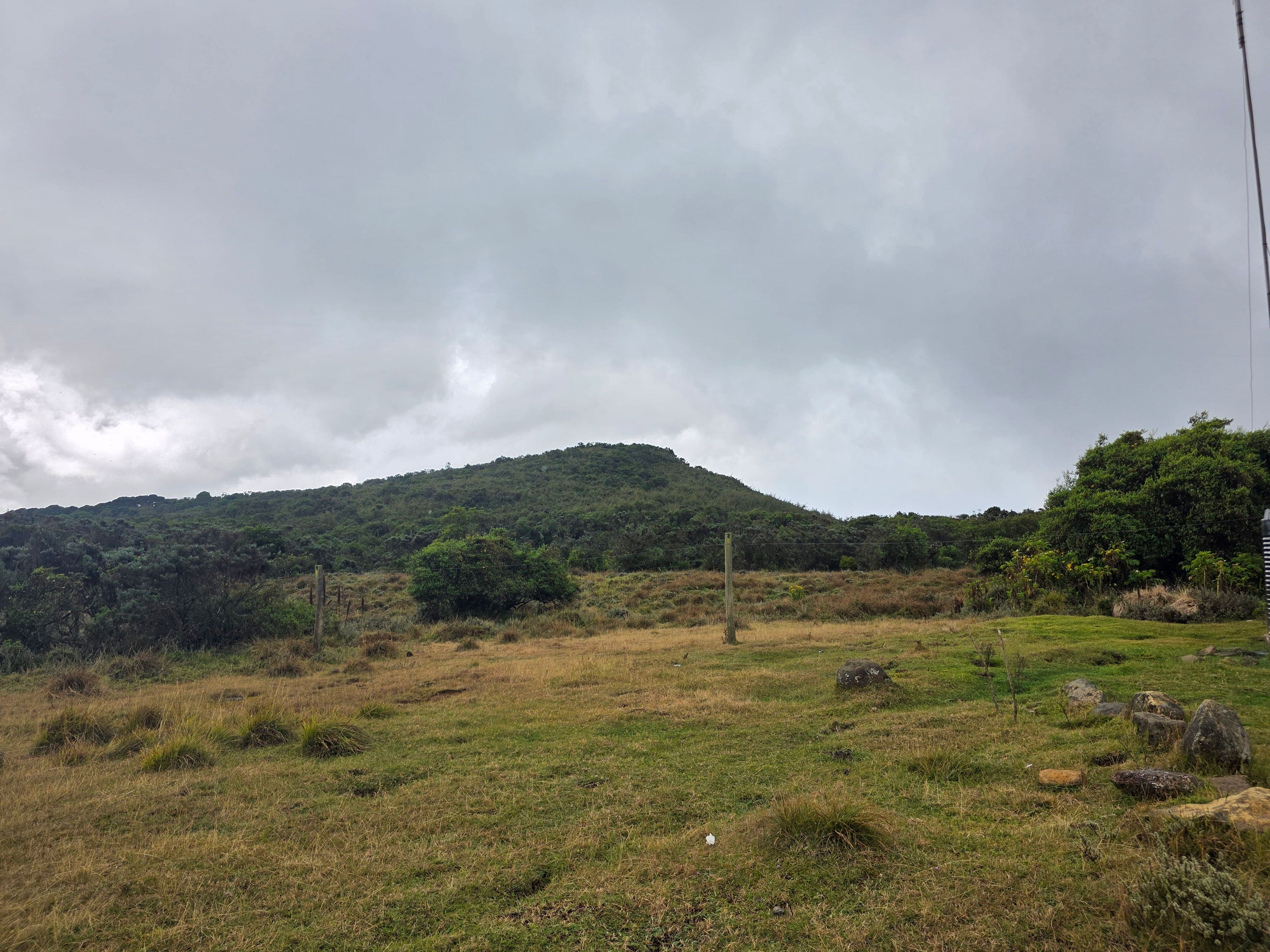 Wellness Experience 28